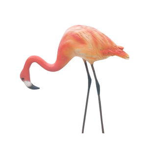 hot sale flamingo statues
