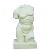 Male torso bust