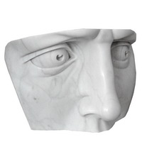 Contemporary face sculpture